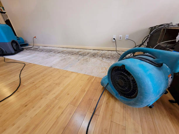 Professional Water Damage Repair technician working in Helm, CA